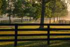 Black fences on horse farm at sunrise on foggy morning, Oldham County, Kentucky Art Print
